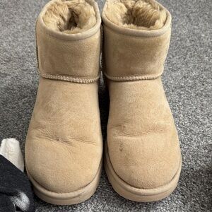 Cozy Tan Ugg Women’s aBoots